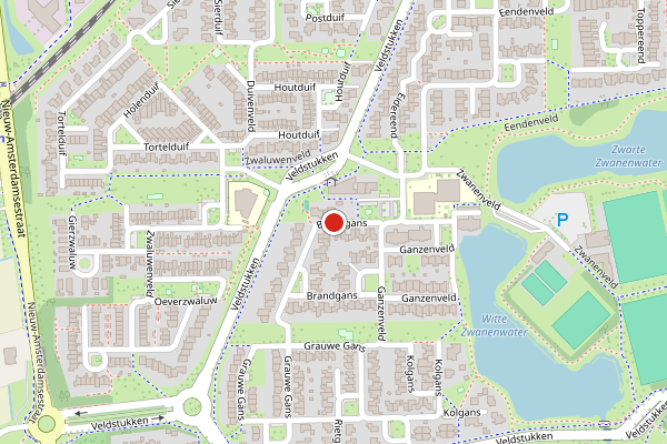 Brandweer-melding op Brandgans, Emmen op 17 juni, kaart-overzicht